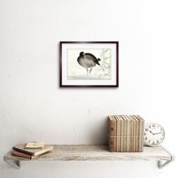 "Artery8 Wall Art Print Moorhen Bird Ohara Koson Art Framed 9x7 inch in Brown - Size: W7"" x H9""" - thumbnail 2