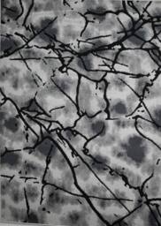 Celebrity Interiors Balletto 19NA Beige/Black Rug in Beige - Size: 80 cm x 150 cm - thumbnail 3