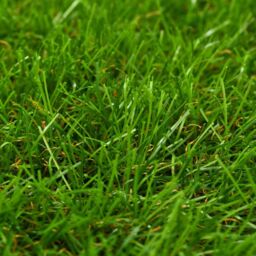 Berkfield Home Artificial Grass 1x15 m/40 mm Green - thumbnail 2