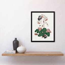 Artery8 Cyclamen Butterfly Beetles & Shell Bolton Framed Wall Art Print in White - Size: A4 - thumbnail 2
