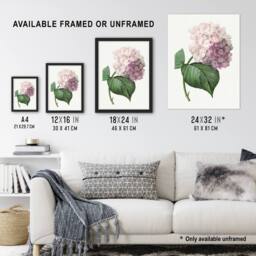 Artery8 Hydrangea Botanical Illustration Redoute Vintage Framed Wall Art Print in White - Size: A4 - thumbnail 3