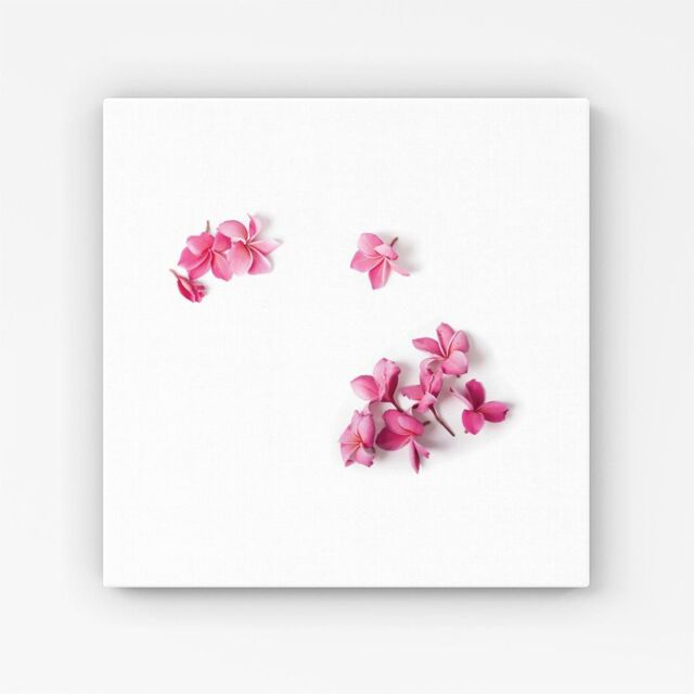 Warren Reed - Designer Pink Frangipani Flowers Canvas - Size: w40 inch x h40 inch - image 1