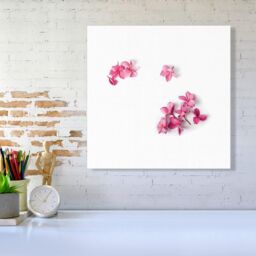 Warren Reed - Designer Pink Frangipani Flowers Canvas - Size: w40 inch x h40 inch - thumbnail 2