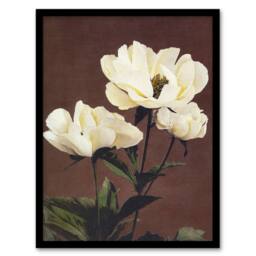 "Artery8 White Herbaceous Peony Flowers Japanese Framed Wall Art Print Kazumasa in Red - Size: W12"" x H16""" - thumbnail 1