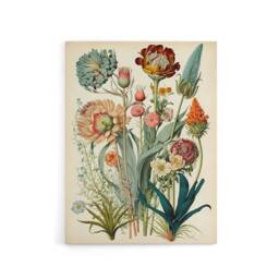 "Artery8 Ernst Haeckel Inspired Wildflowers Canvas Wall Art Print - Size: W18"" x H24""" - thumbnail 1