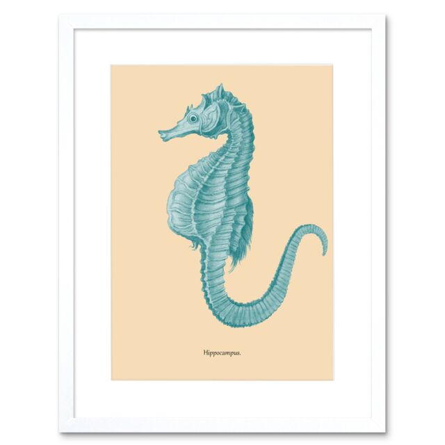 "Artery8 Wall Art Print Sea Horse Hippocampus Blue Art Framed 9x7 inch in White - Size: W7"" x H9""" - image 1