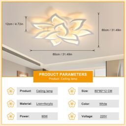 Pheashine Modern LED Ceiling Light, 60W, 220V, 3000K Warm Light, 80cm, Indoor in White - thumbnail 4