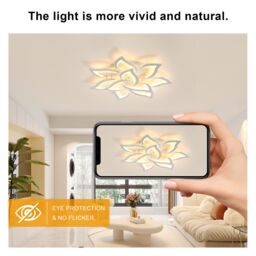 Pheashine Modern LED Ceiling Light, 60W, 220V, 3000K Warm Light, 80cm, Indoor in White - thumbnail 5