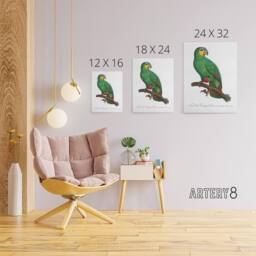 "Artery8 The Orange Winged Amazon Parrot Levaillant Canvas Wall Art Print in White - Size: W12"" x H16""" - thumbnail 4