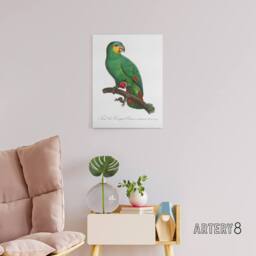 "Artery8 The Orange Winged Amazon Parrot Levaillant Canvas Wall Art Print in White - Size: W12"" x H16""" - thumbnail 3