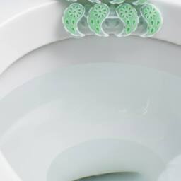 Bedsland Speed Toilet Deodorizer Pine Fresh Long Lasting Bathroom in Green - thumbnail 4