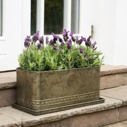 Royal Botanic Gardens Kew Kew Aged Brass Regency Outdoor Trough 43Cm - Premium Quality - 2 Other Sizes Available - 3 Year Warranty - Detachable - thumbnail 4