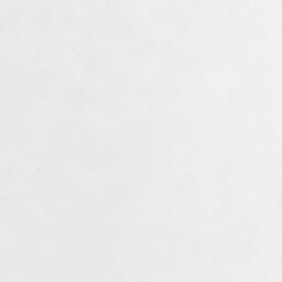 Berkfield Home Plant Fleece 70 g/m¬≤ 10x1.6 m in White - thumbnail 7