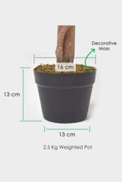 Homescapes Potted Rose Tree Artificial Plant with lifelike green leaves, 90 cm in Pink - thumbnail 3