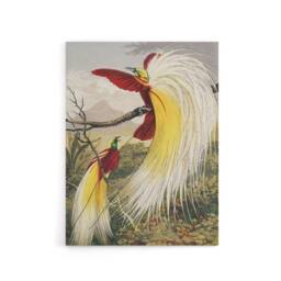 "Artery8 Bird Paradise Exotic B. Fawcett Vintage Canvas Wall Art - Size: W18"" x H24""" - thumbnail 1