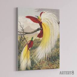 "Artery8 Bird Paradise Exotic B. Fawcett Vintage Canvas Wall Art - Size: W18"" x H24""" - thumbnail 2