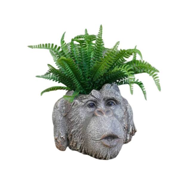 Gifts Direct 2 U Resin Monkey Head Planter - 'Hear No Evil' in Stone - image 1