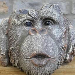 Gifts Direct 2 U Resin Monkey Head Planter - 'Hear No Evil' in Stone - thumbnail 3