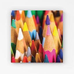 Warren Reed - Designer Colouring Pencils Canvas in Pink - Size: w40 inch x h40 inch - thumbnail 1