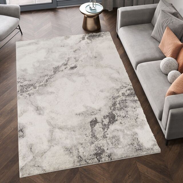 Desire Rugs Essence Living Room Area Rug Oragnic Abstract Design - Aura Rustic in Grey - Size: 120 cm x 170 cm - image 1