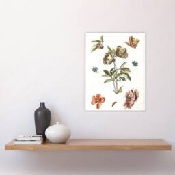 "Artery8 Flowers Snail & a Caterpillar Johan Teyler Wall Art Poster Print in White - Size: W12"" x H16""" - thumbnail 4