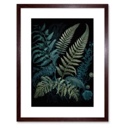 "Artery8 Wall Art Print Ernst Haeckel Style Leaf Fern Fronds Artwork Framed 9X7 Inch in Brown - Size: W7"" x H9""" - thumbnail 1