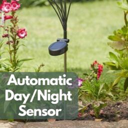 Marco Paul Solar 8 Stem Garden Stake Light - Multicoloured - thumbnail 6