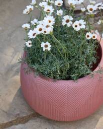 Dibor Small Terracotta Symmetry Stripe Fibre Clay Indoor Outdoor Garden Planter Houseplant Flower Plant Pot H20 x Dia29cm in Pink - thumbnail 3