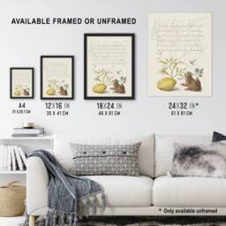 "Artery8 Gillyflower Almond & Frog Calligraphy Framed Wall Art Print in White - Size: W12"" x H16""" - thumbnail 3