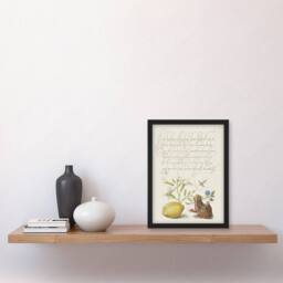 "Artery8 Gillyflower Almond & Frog Calligraphy Framed Wall Art Print in White - Size: W12"" x H16""" - thumbnail 4