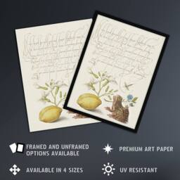 "Artery8 Gillyflower Almond & Frog Calligraphy Framed Wall Art Print in White - Size: W12"" x H16""" - thumbnail 2