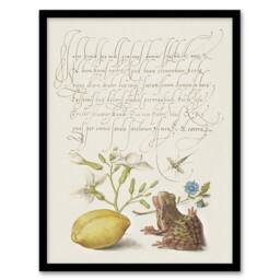 "Artery8 Gillyflower Almond & Frog Calligraphy Framed Wall Art Print in White - Size: W12"" x H16""" - thumbnail 1