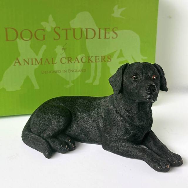 Animal Crackers Realistic Laying Black Labrador Dog Figurine, 16cm, Gift Boxed - image 1