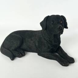Animal Crackers Realistic Laying Black Labrador Dog Figurine, 16cm, Gift Boxed - thumbnail 2