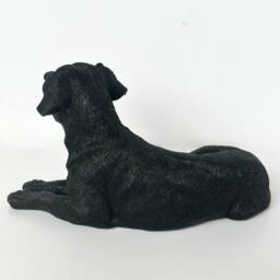 Animal Crackers Realistic Laying Black Labrador Dog Figurine, 16cm, Gift Boxed - thumbnail 4
