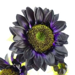 Leaf Pack of 6 x 88cm Purple Artificial Sunflower 18 heads Premium - Size: 6 x 88 cm - thumbnail 2