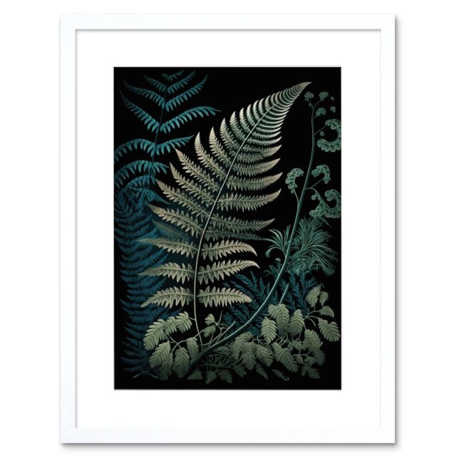 "Artery8 Wall Art Print Detailed Fern Frond Species Botanical Artwork Framed 9X7 Inch in White - Size: W7"" x H9""" - image 1
