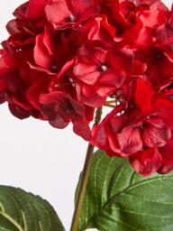 Orsina Hydrangea Stem - 74cm Red, Rich Red Faux Bloom With Lush Petals & Green Foliage, Brings Warmth & Depth To - thumbnail 3