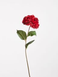 Orsina Hydrangea Stem - 74cm Red, Rich Red Faux Bloom With Lush Petals & Green Foliage, Brings Warmth & Depth To - thumbnail 4