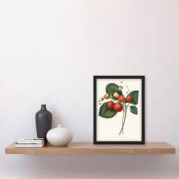 Artery8 Boston Pine Strawberry Plant Hovey Vintage Framed Wall Art Print in White - Size: A4 - thumbnail 4