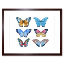 "Artery8 Wall Art Print Butterflies Vector Watercolour Art Framed 9x7 inch in Brown - Size: W7"" x H9""" - thumbnail 1
