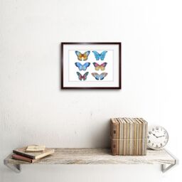 "Artery8 Wall Art Print Butterflies Vector Watercolour Art Framed 9x7 inch in Brown - Size: W7"" x H9""" - thumbnail 2