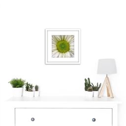 Artery8 DeSousa White Chrysanthemum Flower Photo 8X8 Inch Square Wooden Framed Wall Art Print Picture with Mount - thumbnail 2