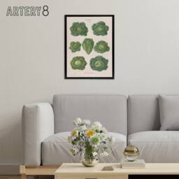 "Artery8 Savoy Cabbages Vintage Kitchen Ernst Benary Framed Canvas Wall Art in White - Size: W12"" x H16""" - thumbnail 3