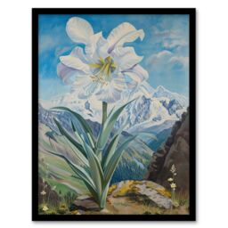 "Artery8 Wild White Lily Mont Blanc Mountain Landscape Framed Art Print in Blue - Size: W12"" x H16""" - thumbnail 1