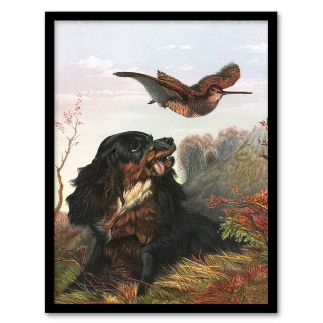 Artery8 Arthur Fitzwilliam Tait Framed Wall Art Cocker Spaniel Dog & Woodcock - Size: A4 - image 1