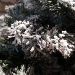 Samuel Alexander 7ft (2.1m) Snowy Imperial Pine Green Fir Christmas Tree with Metal Stand - thumbnail 3