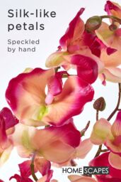 Homescapes Phalaenopsis Artificial Orchid with Natural Base, 60 cm Tall in Pink - thumbnail 3