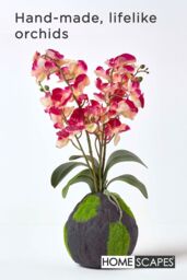 Homescapes Phalaenopsis Artificial Orchid with Natural Base, 60 cm Tall in Pink - thumbnail 2