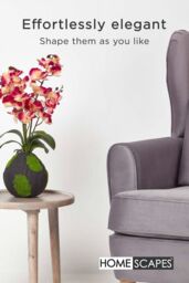 Homescapes Phalaenopsis Artificial Orchid with Natural Base, 60 cm Tall in Pink - thumbnail 6